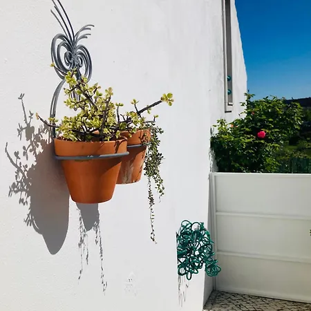 Adabibas Holiday home *